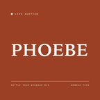 New Auction-Phoebe Session – view 2